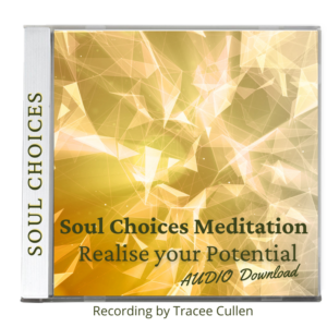 Soul Choices - Realise your Potential