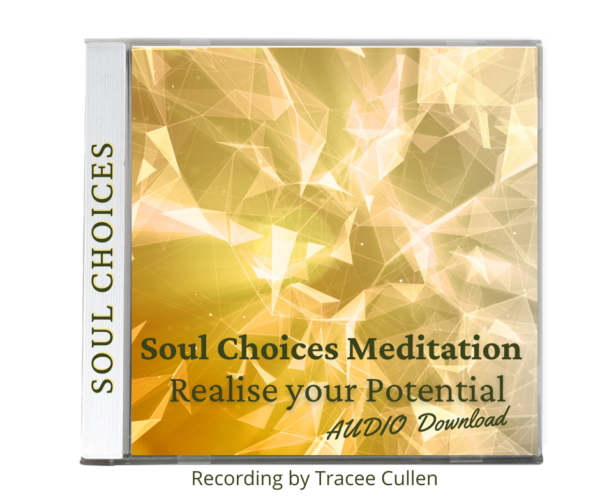 Soul Choices - Realise your Potential