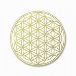 Group logo of Awakened Inner Circle – Chat Group